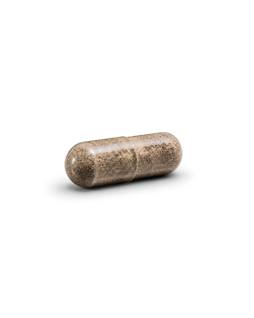 MisterZ Sport Recovery - 90 Capsules